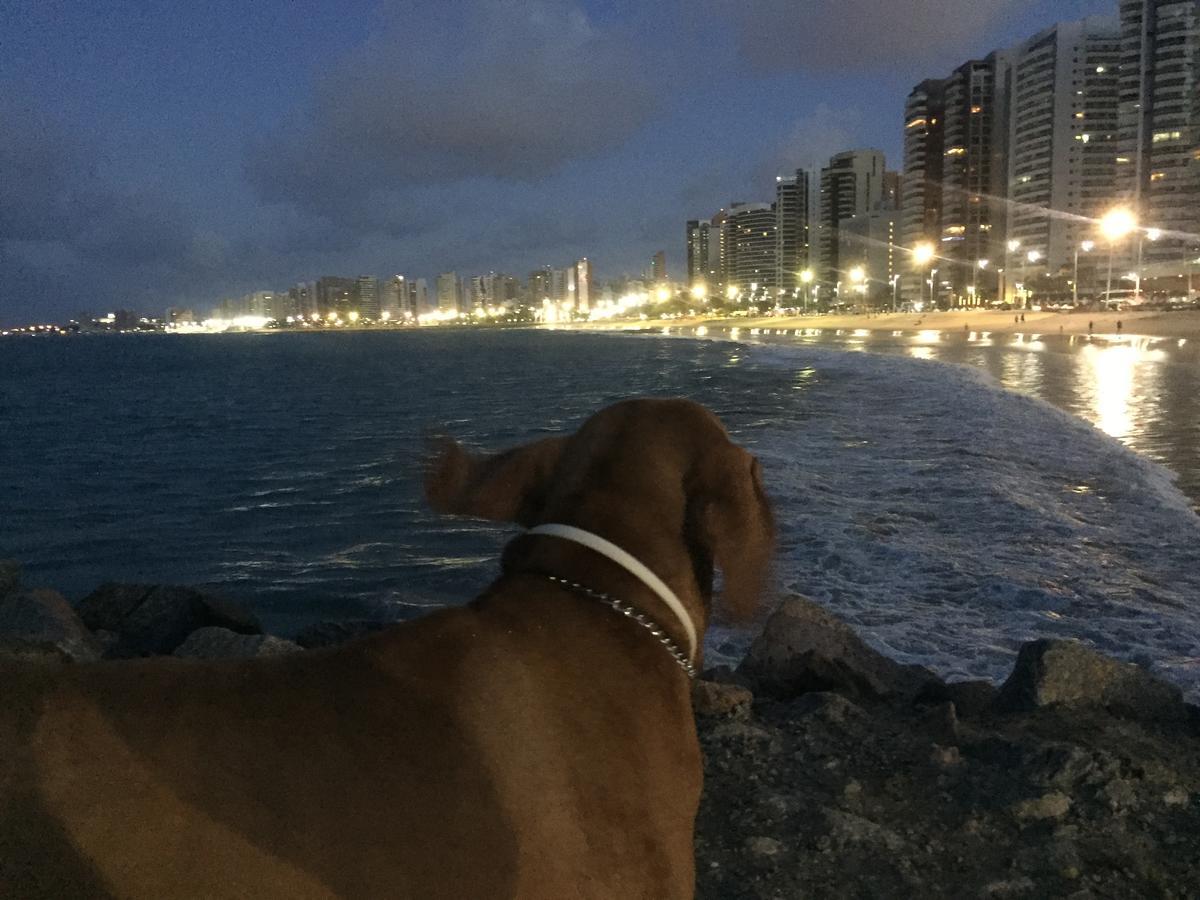 Apartamento Na Melhor Localizacao De Fortaleza!! Екстериор снимка