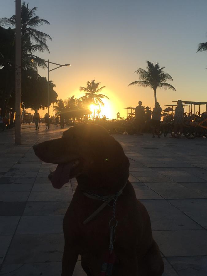 Apartamento Na Melhor Localizacao De Fortaleza!! Екстериор снимка